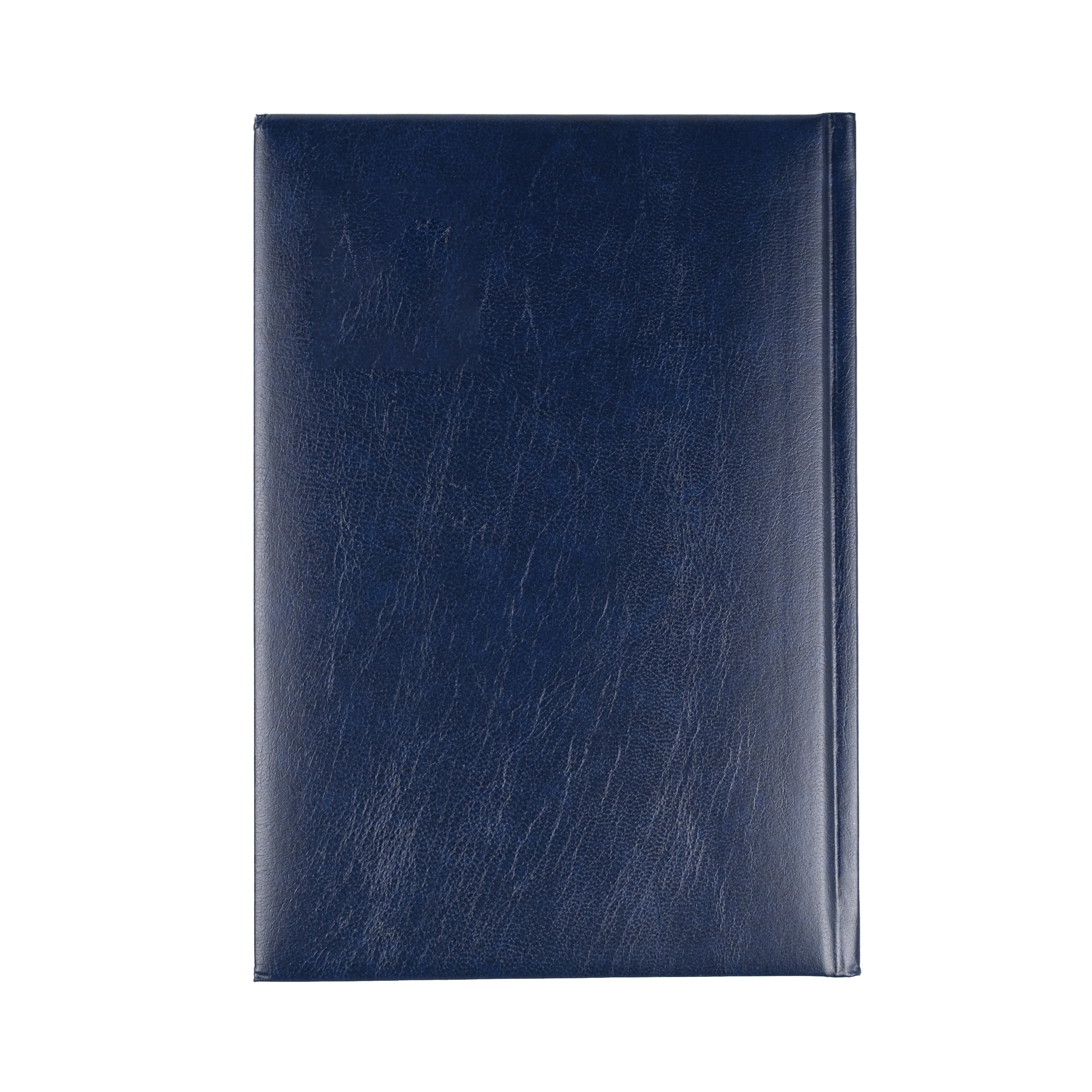 Sterling 2024 Diary - Day to Page, Size A5 Blue / A5 (210 x 148mm)