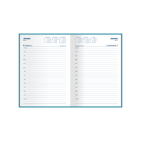 Belmont Calendar Year 2026 Diary/Planner, Day to Page, A5 PVC Cover