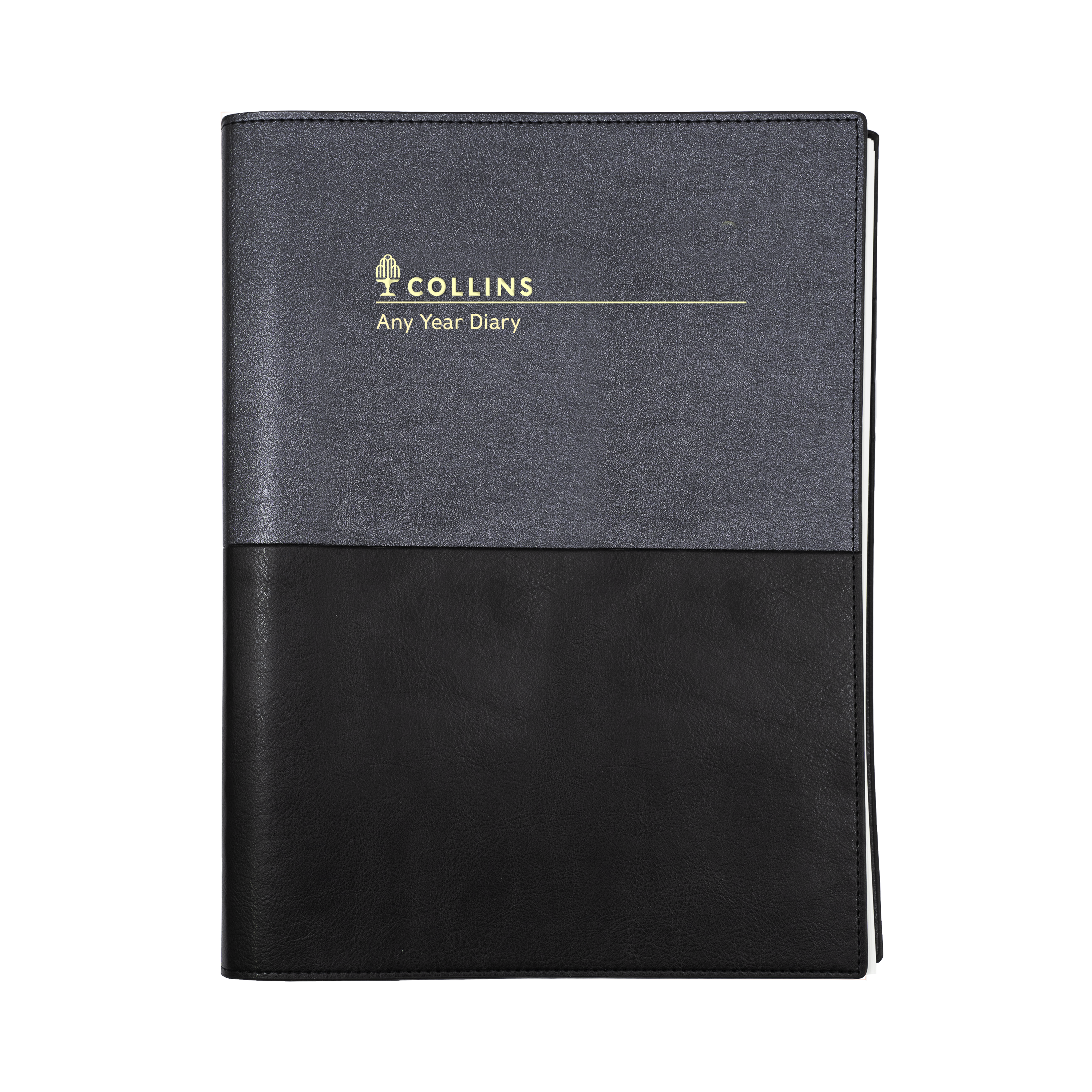 Collins Vanessa A4 - Any Year Diary Planner - Day to Page