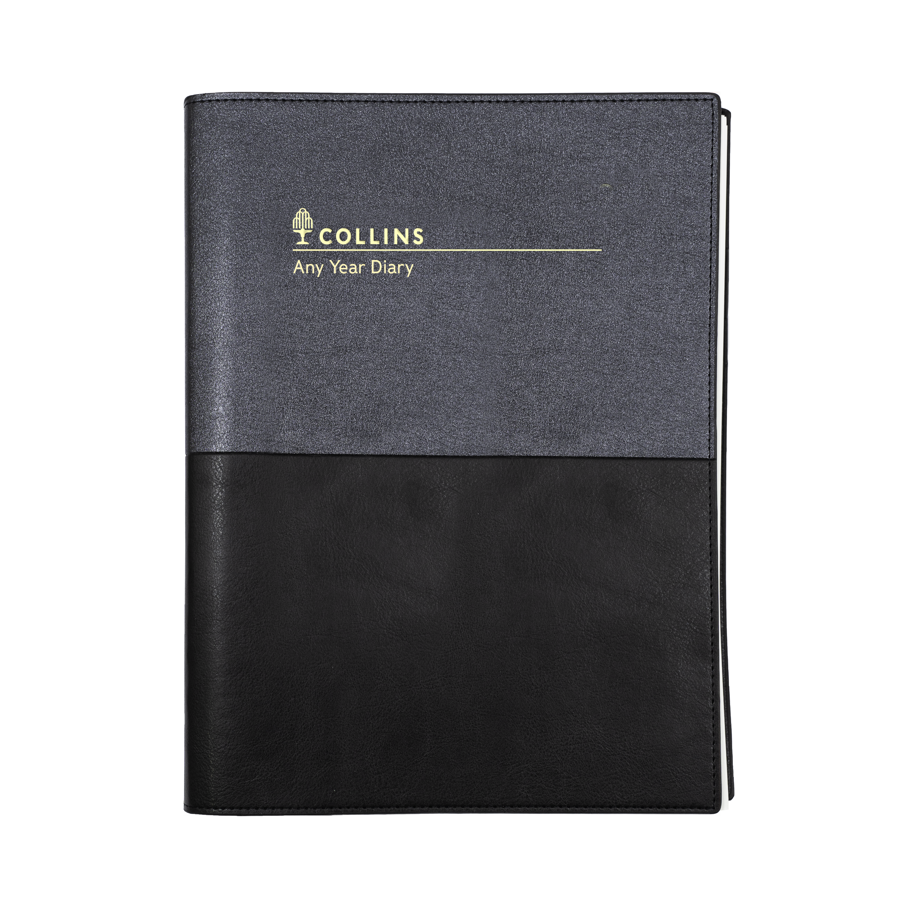 Collins Vanessa A5 - Any Year Diary Planner - Day to Page