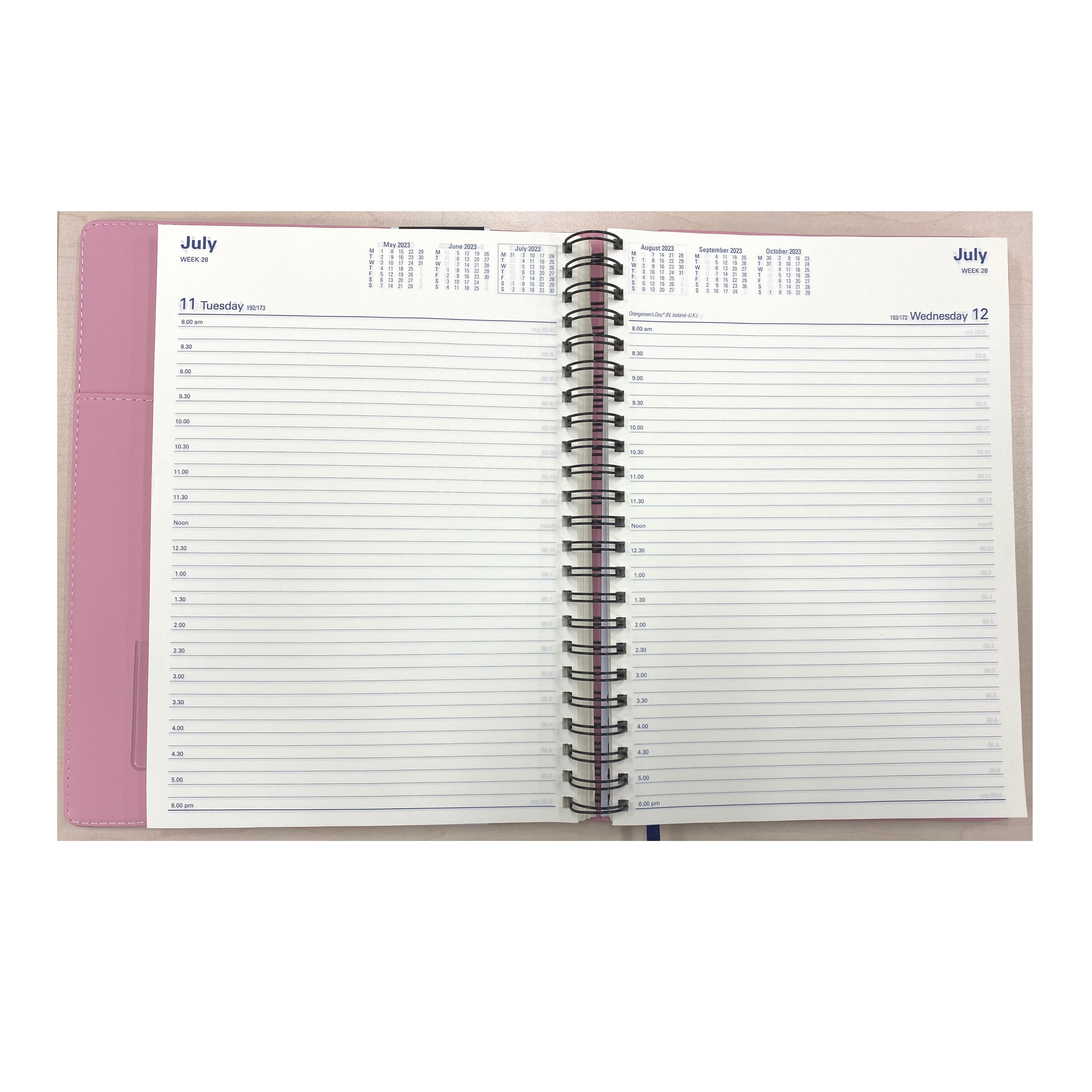 Associate II 2024 Diary - Day to Page, Size A4, 8am to 6pm, 1/2 hourly