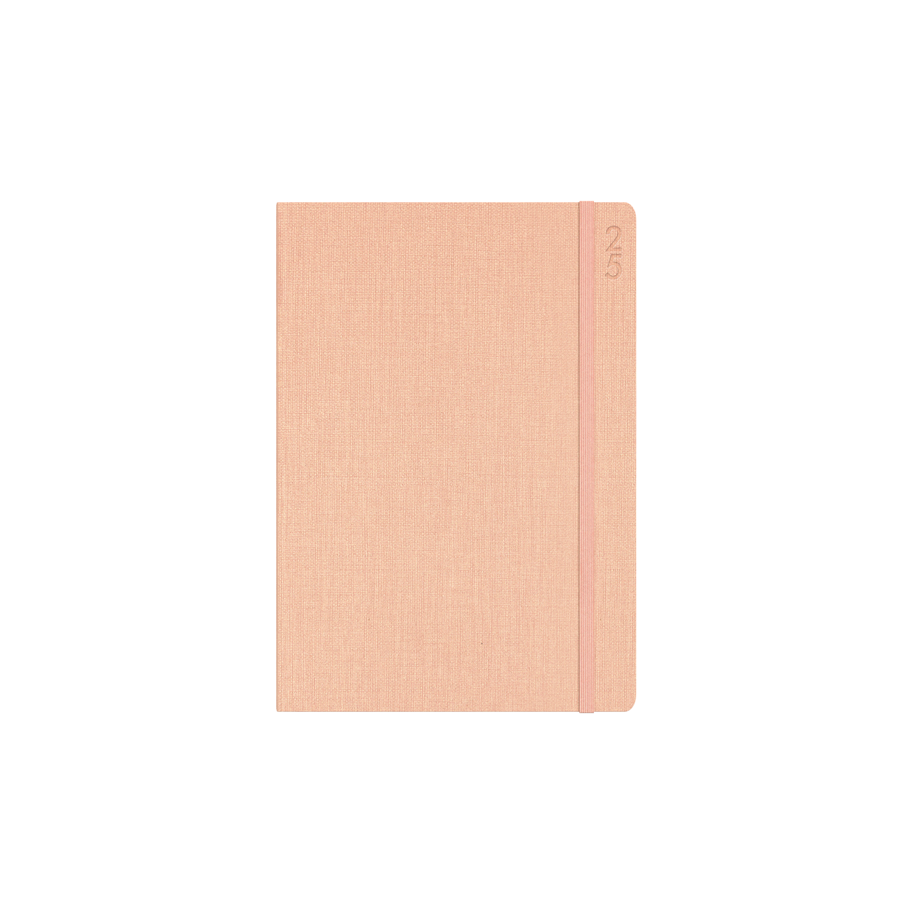 Designer -A5 - Day-to-Page - 2025 Calendar Year Diary/Planner
