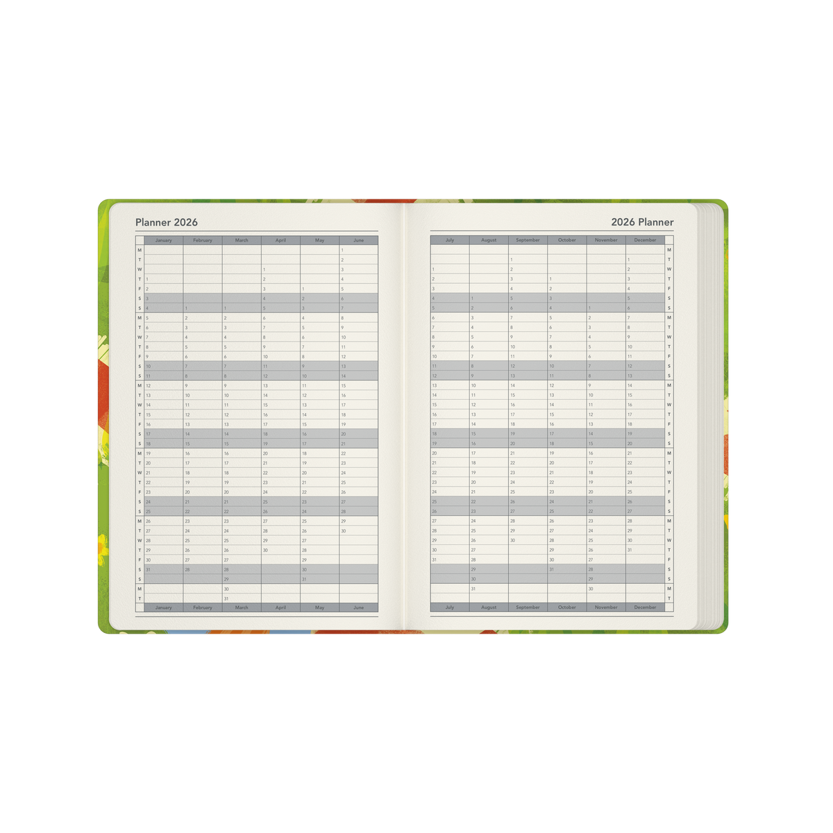 Glasgow School of Art (Bella Ramsay) - Cat Calendar Year 2026 Diary/Planner, Week to View, A5 Recycled Hard Cover - Picnic