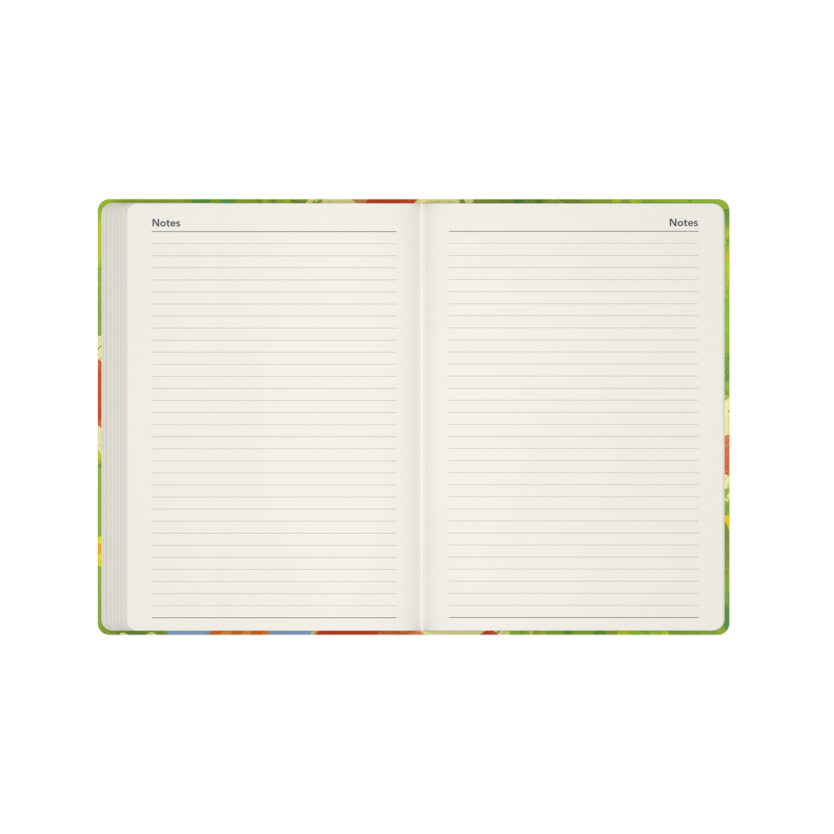 Glasgow School of Art (Bella Ramsay) - Cat Calendar Year 2026 Diary/Planner, Week to View, A5 Recycled Hard Cover - Picnic