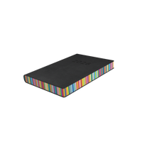 Edge Rainbow Calendar Year 2026 Diary/Planner, Day to Page, A5 Soft Cover