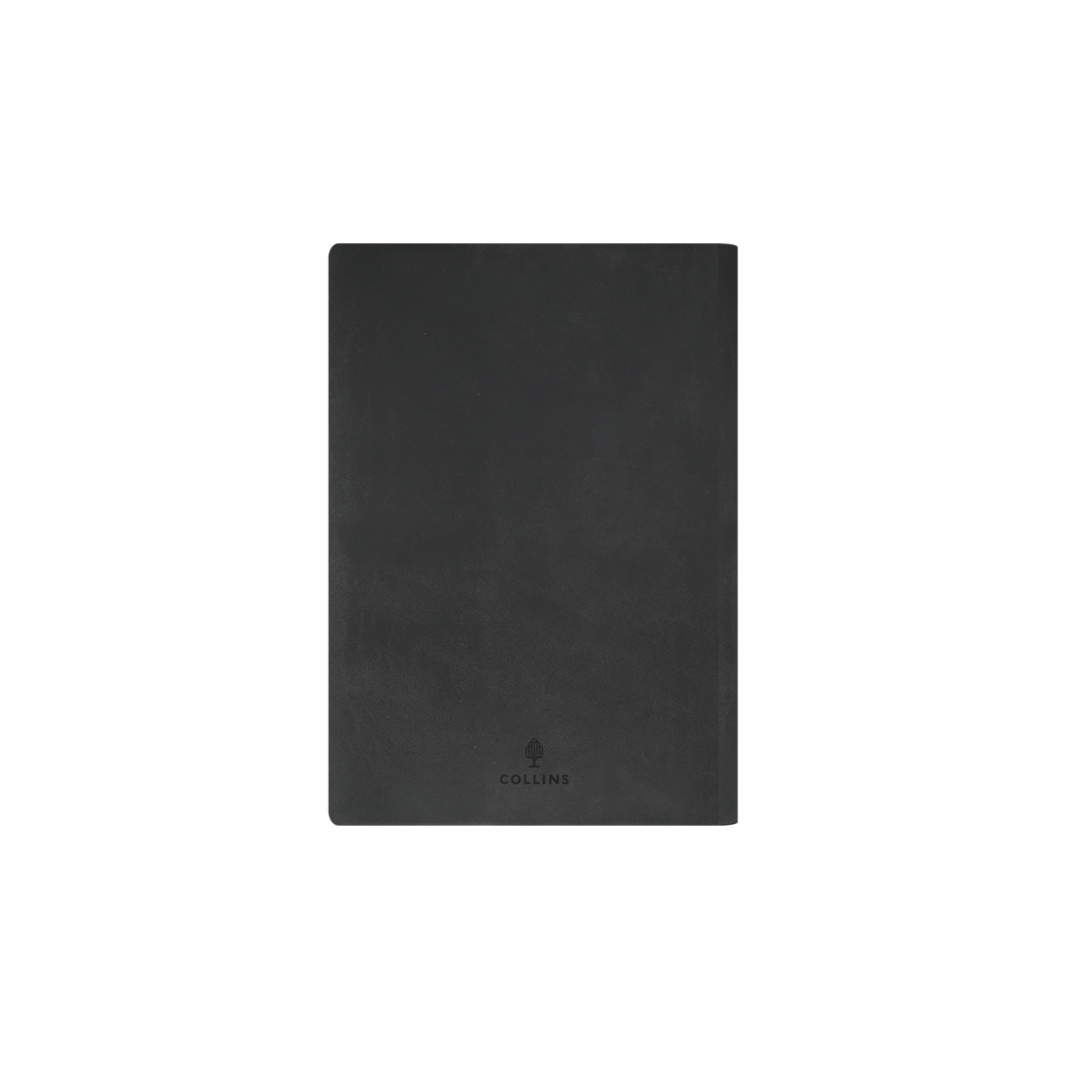 Edge Rainbow Calendar Year 2026 Diary/Planner, Day to Page, A5 Soft Cover