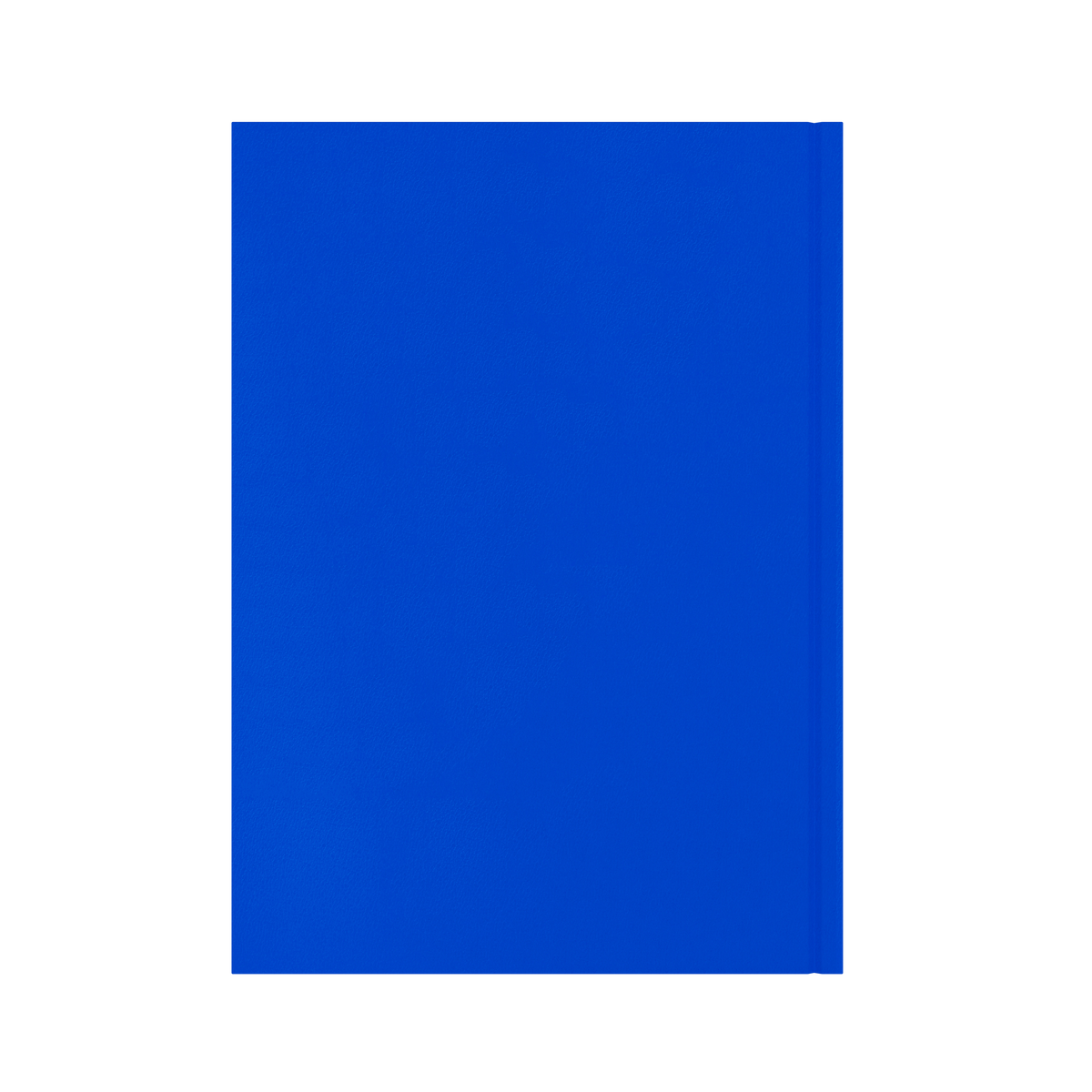 Essential Calendar Year 2026 Diary/Planner, Day to Page with Appointments, A4 Hard Cover