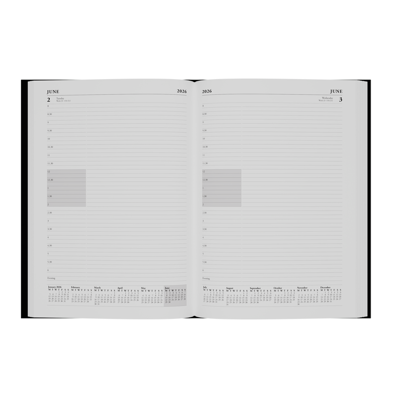 Essential Calendar Year 2026 Diary/Planner, Day to Page with Appointments, A4 Hard Cover