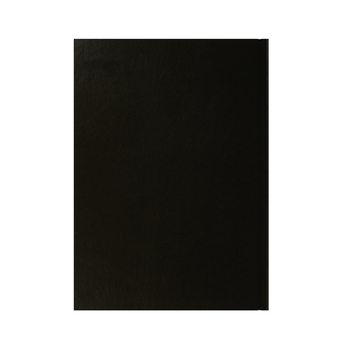 Essential Calendar Year 2026 Diary/Planner, Day to Page with Appointments, A4 Hard Cover