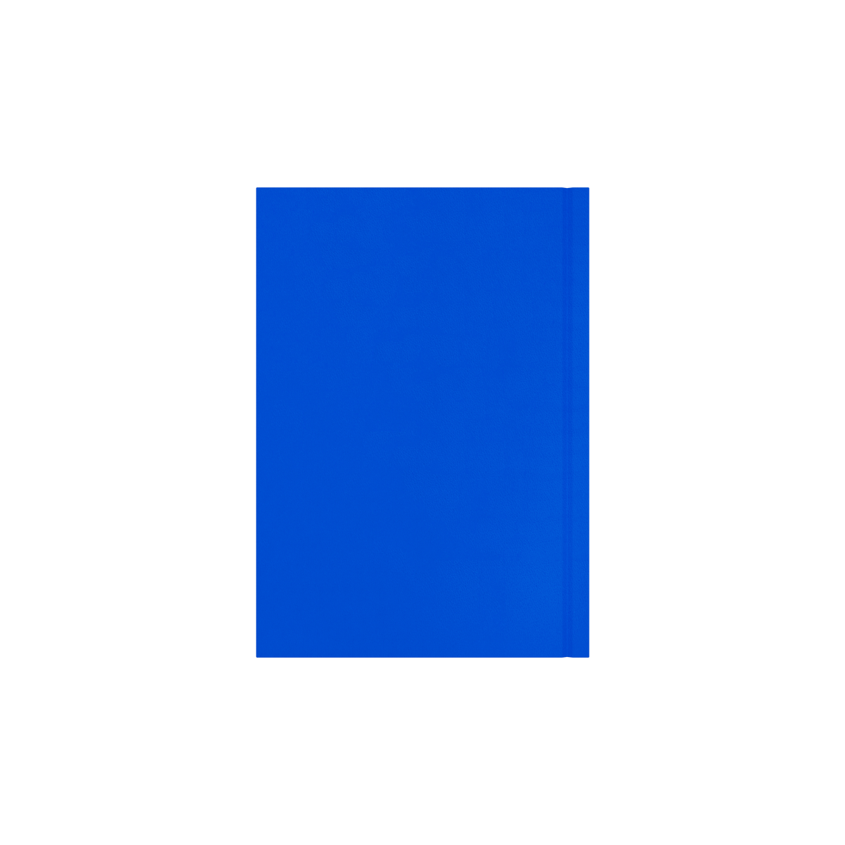 Essential Calendar Year 2026 Diary/Planner, Day to Page with Appointments, A5 Hard Cover