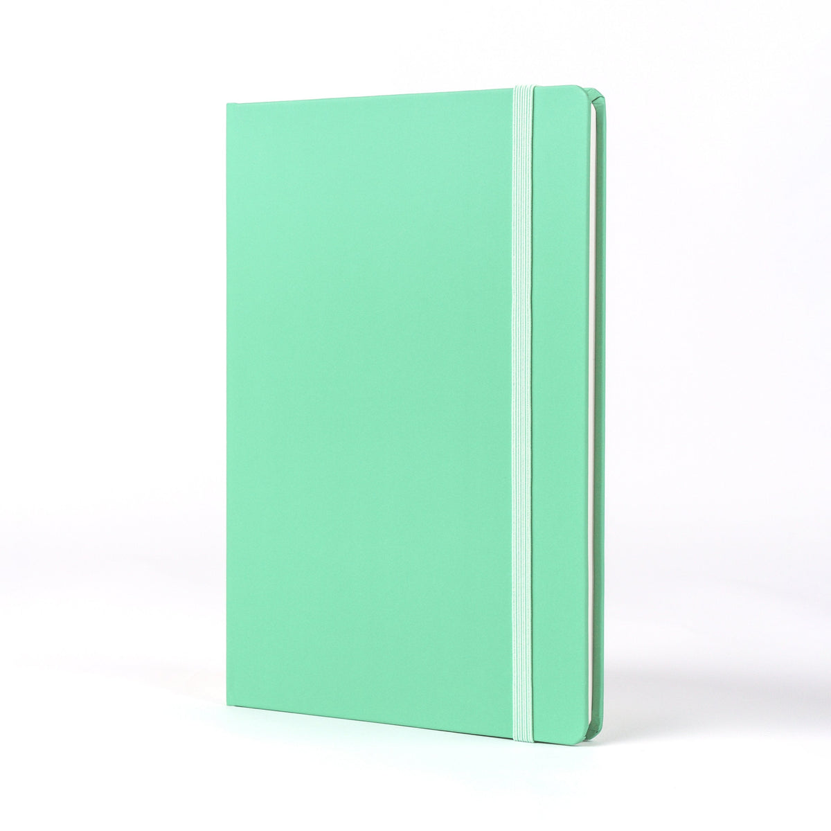 Moodler Ruled Notebook - Sour Grape Teal