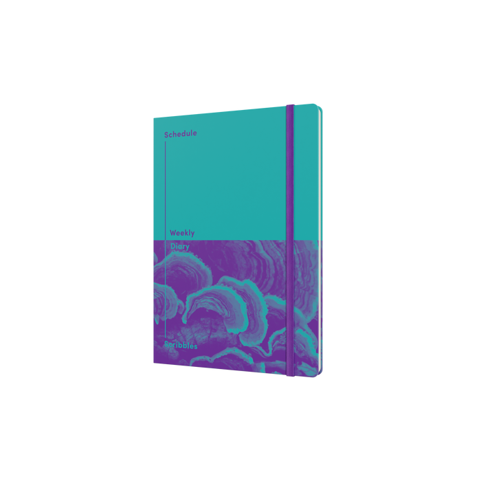 Jumble and Co. - Schedule and Scribbles Undated, Week to View, A5 - Teal