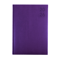 Silhouette Calendar Year 2026 Diary/Planner, Day to Page, A4 Padded Cover