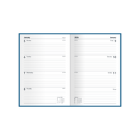 Silhouette Calendar Year 2026 Diary/Planner, Week to View, A5 Padded Cover