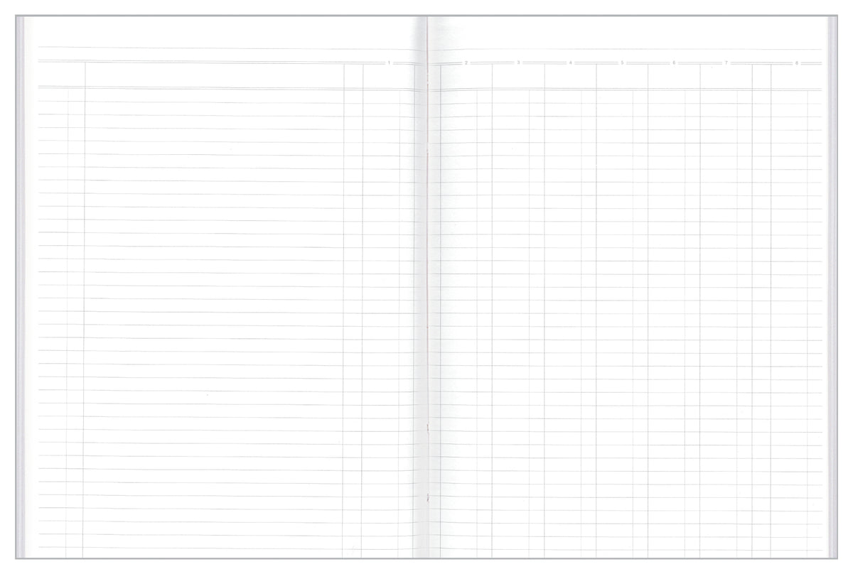 Analysis Book '61' Series  8 Money Column Default Title
