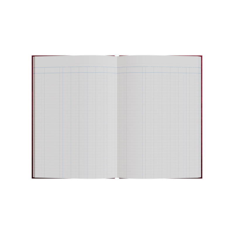 84PP A4 6 Money Column Account Book – Hardcover in Red – Collins 3880 Series “Account & Analysis” Range