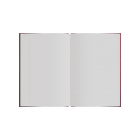 84PP A4 Minute Paged Account Book – Hardcover in Red – Collins 3880 Series “Account & Analysis” Range