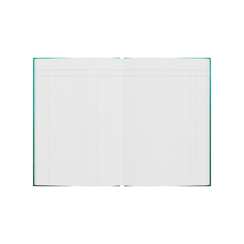 168PP A4 10 Money Column Analysis Book – Hardcover in Green – Collins 61 Series “Account & Analysis” Range