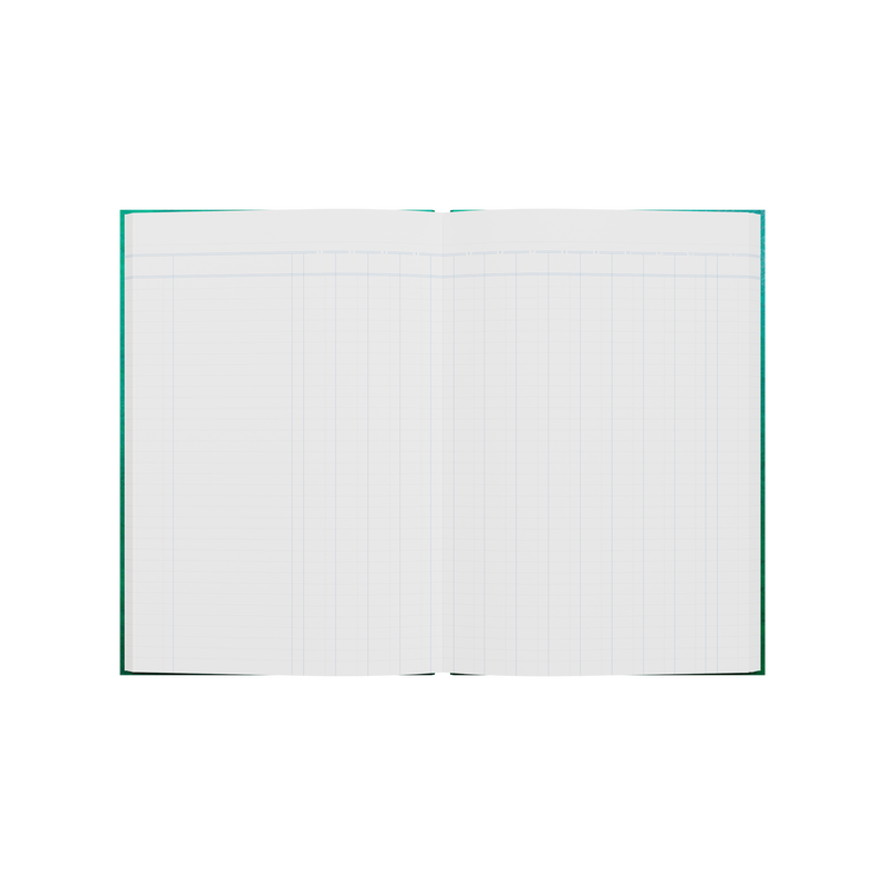 168PP A4 13 Money Column Analysis Book – Hardcover in Green – Collins 61 Series “Account & Analysis” Range