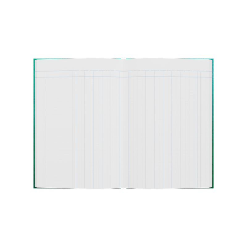 84PP A4 14 Money Column Analysis Book – Hardcover in Green – Collins 61 Series “Account & Analysis” Range