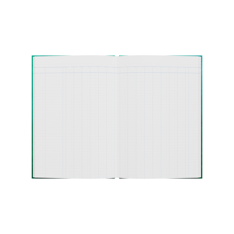 168PP A4 15 Money Column Analysis Book – Hardcover in Green – Collins 61 Series “Account & Analysis” Range