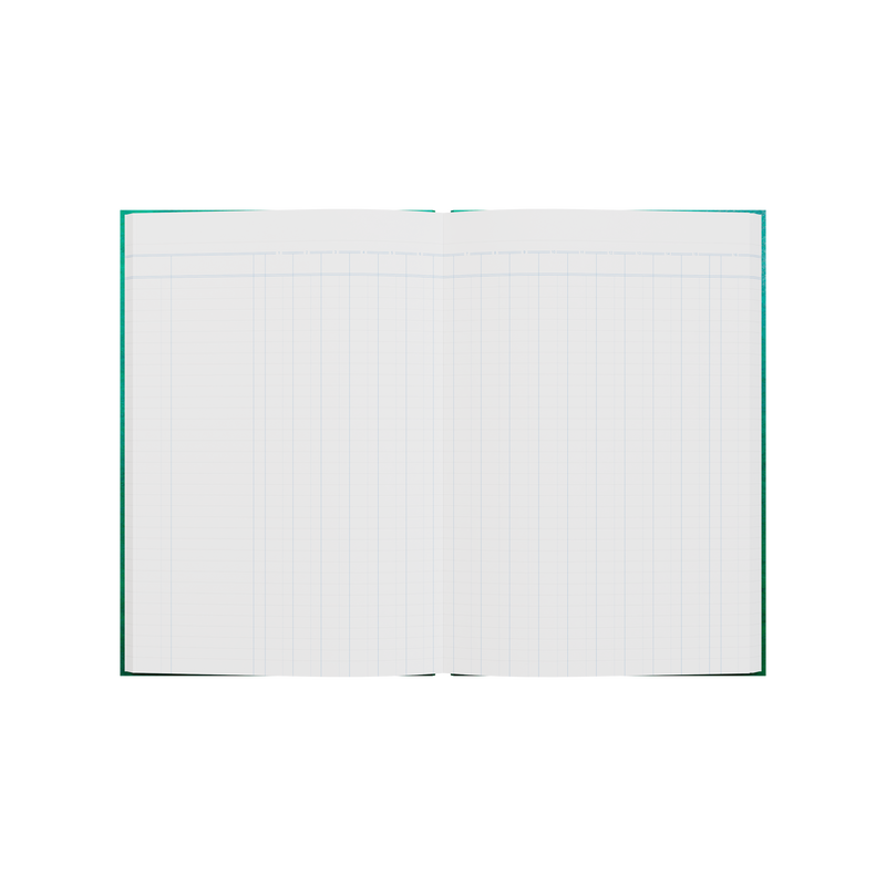 168PP A4 16 Money Column Analysis Book – Hardcover in Green – Collins 61 Series “Account & Analysis” Range