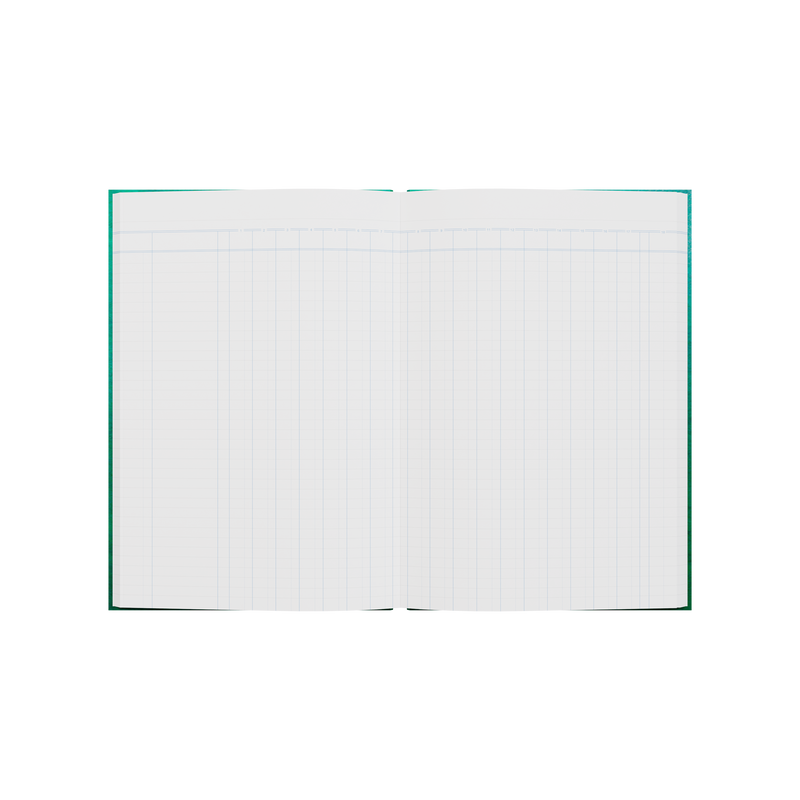 84PP A4 18 Money Column Analysis Book – Hardcover in Green – Collins 61 Series “Account & Analysis” Range