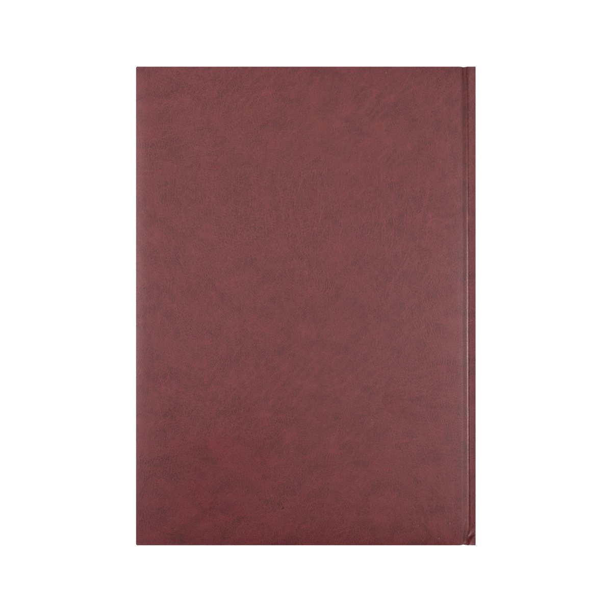 Appointment Calendar Year 2027 Diary/Planner, Day to Page - 15 mins, A4 Hard Cover