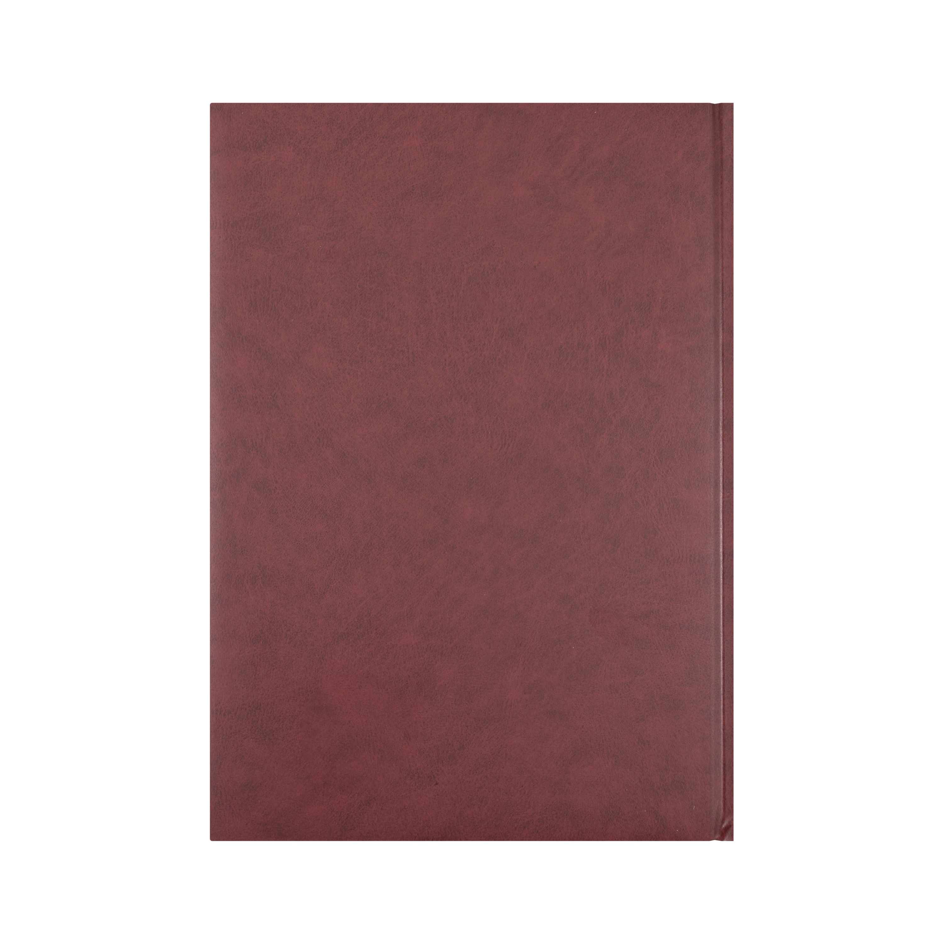 Appointment Calendar Year 2027 Diary/Planner, Day to Page - 15 mins, A4 Hard Cover