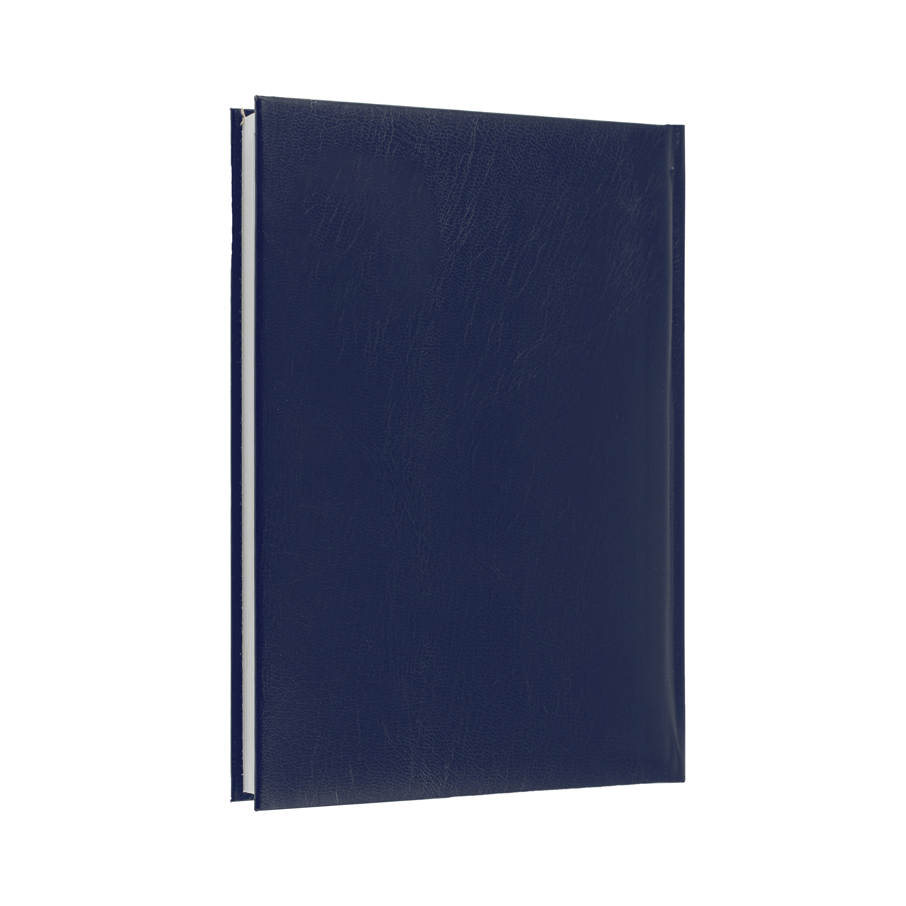 Sterling 2024 Diary - Day to Page, Size A4 Blue / A4 (297 x 210mm)