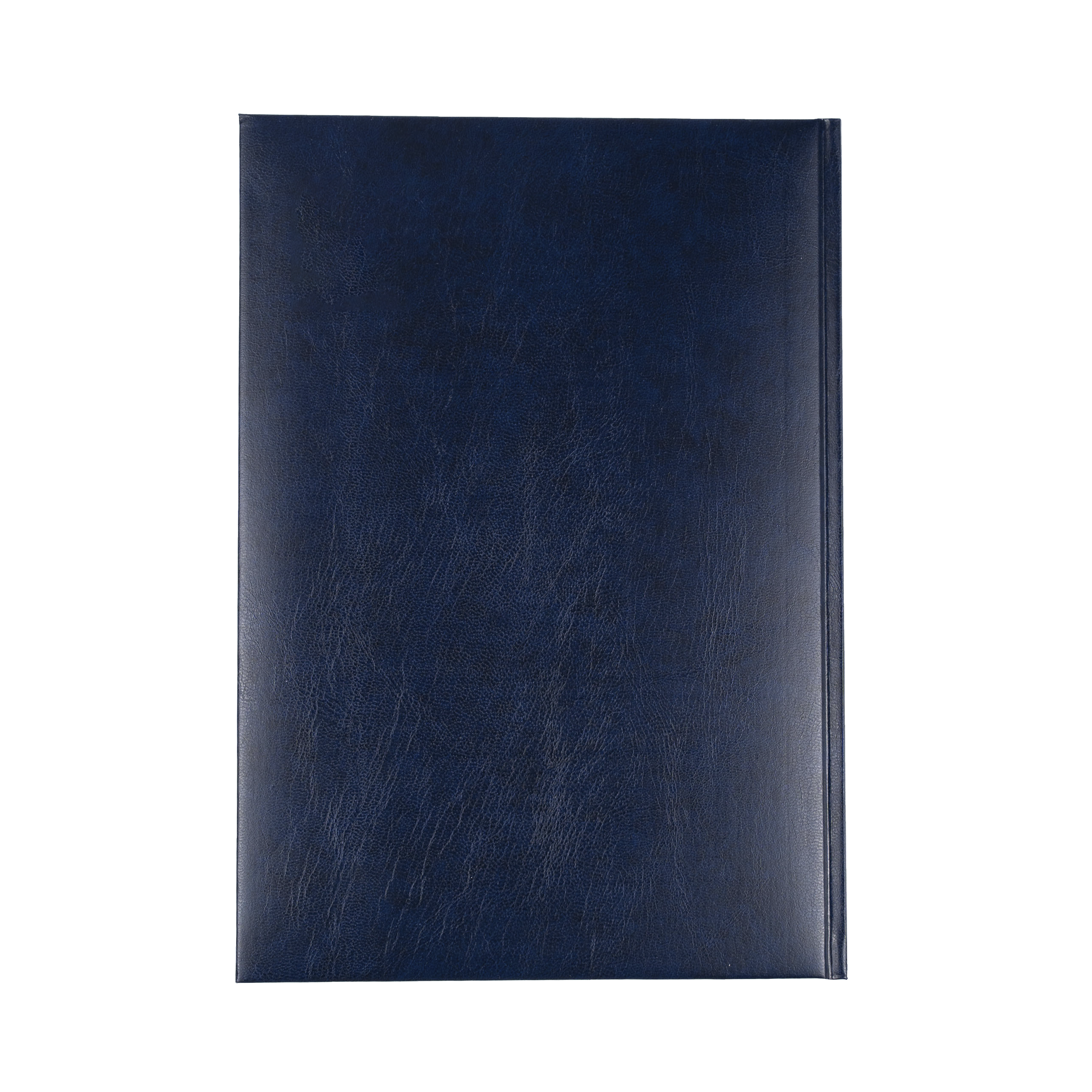 Sterling 2024 Diary - Day to Page, Size A4 Blue / A4 (297 x 210mm)