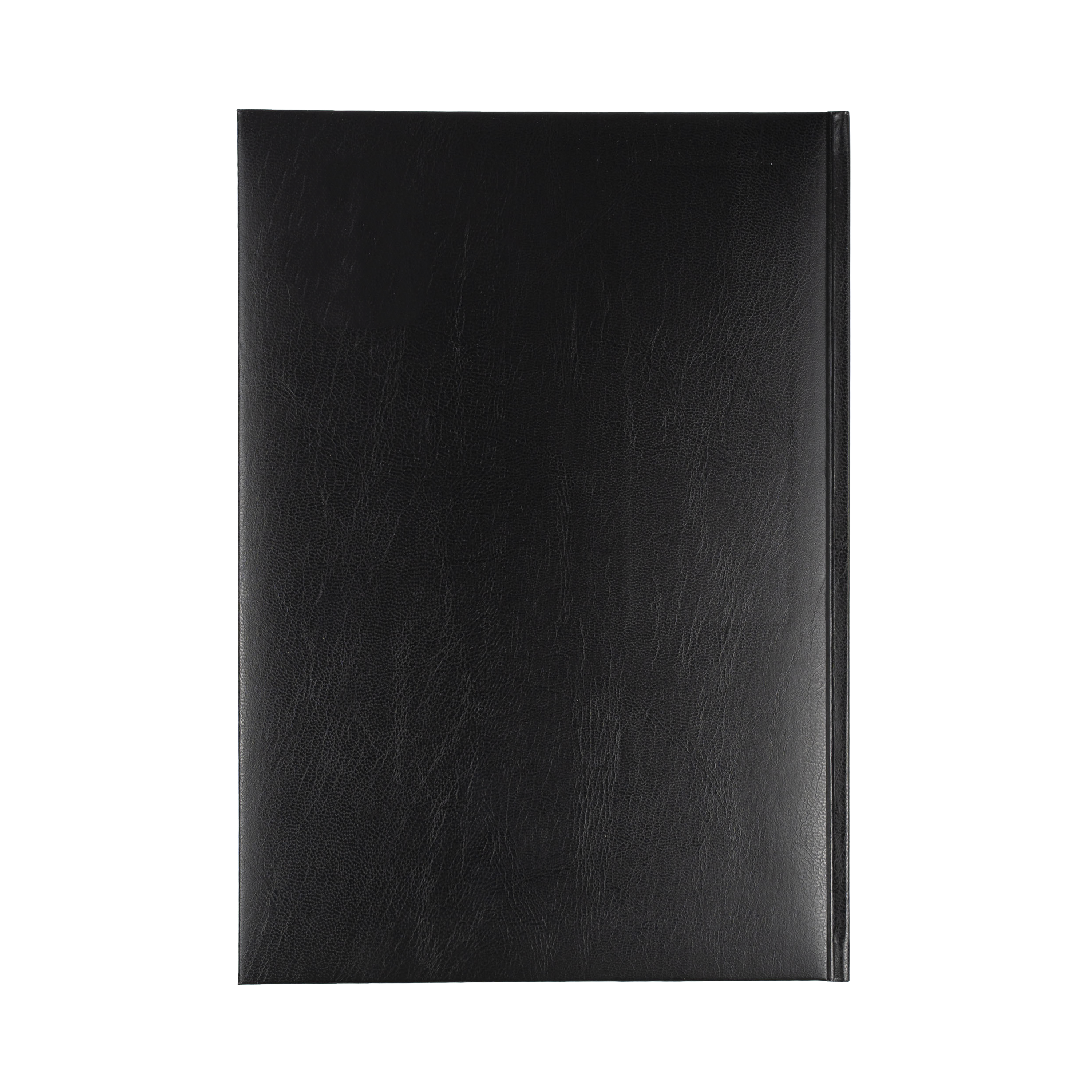 Sterling 2024 Diary - Day to Page, Size A4 Black / A4 (297 x 210mm)