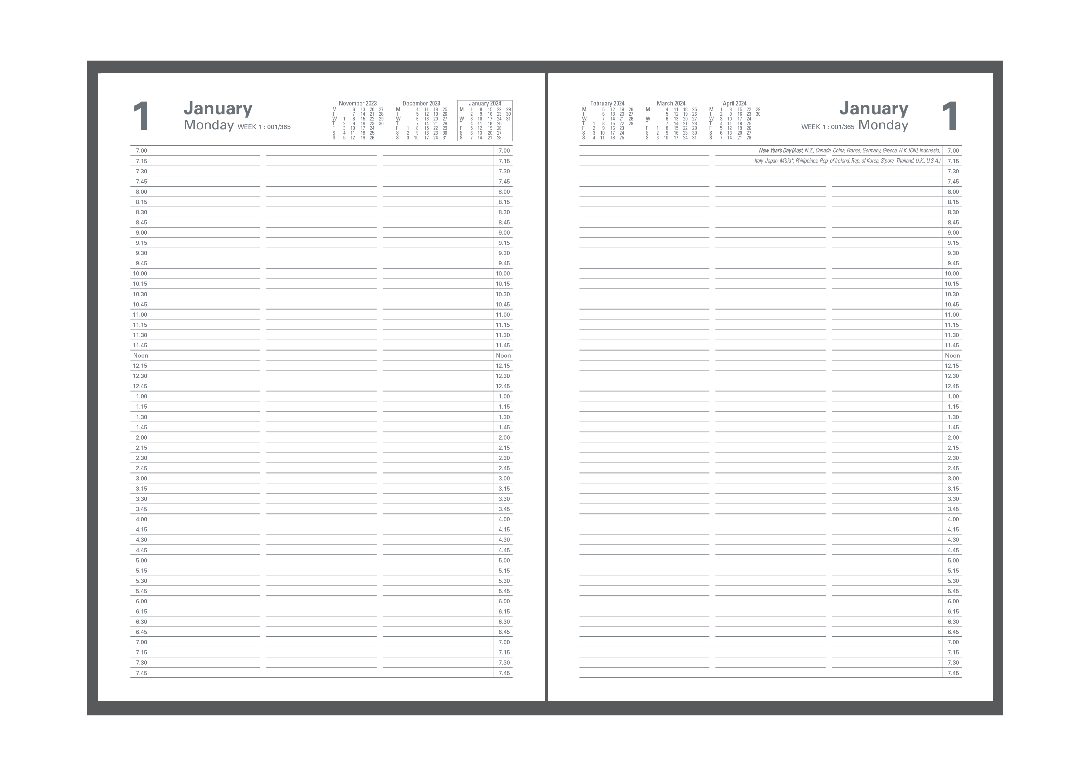 Appointment 2024 Diary - 2 Pages to a Day (1/4 hourly), Size A4