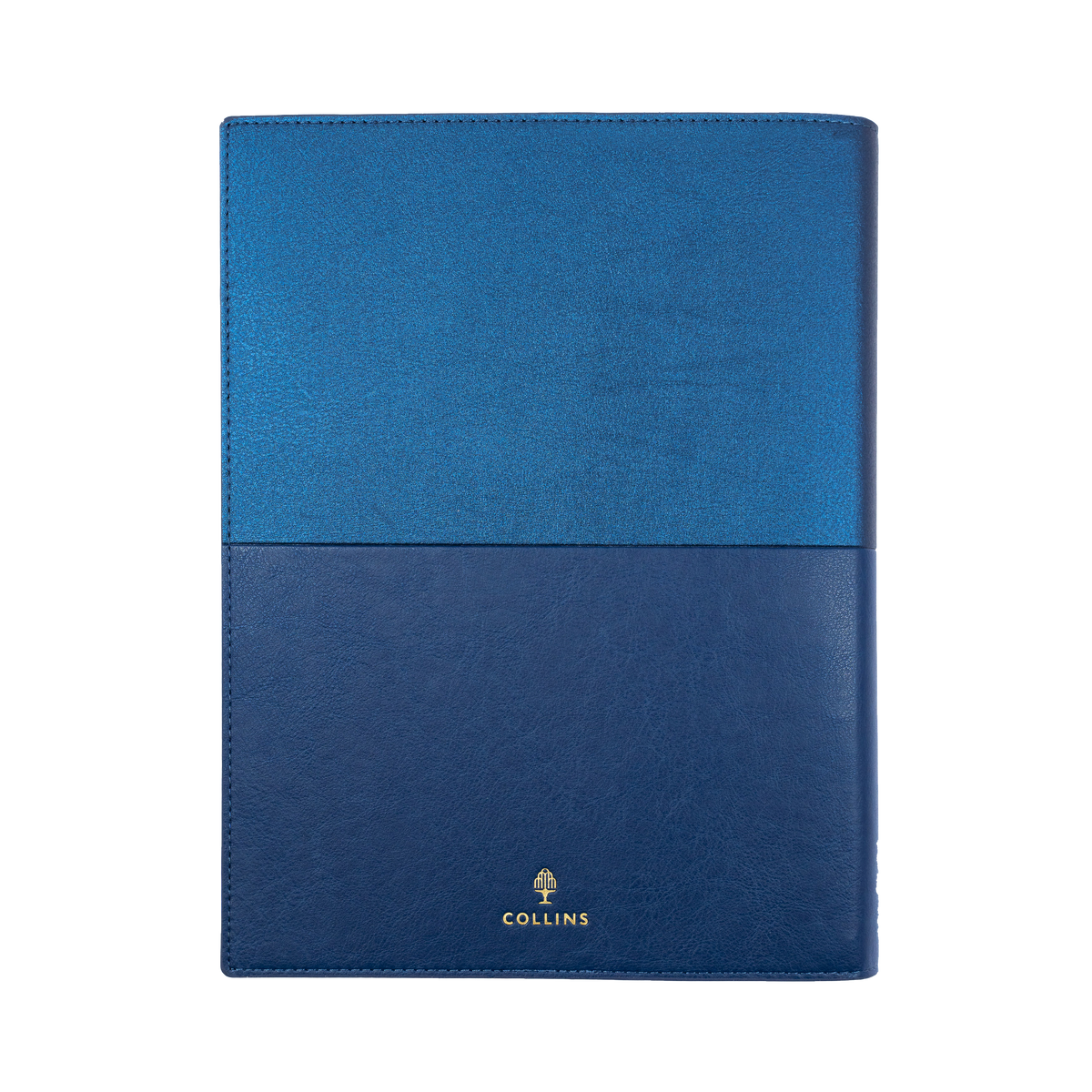 Vanessa Calendar Year 2026 Diary/Planner, Day to Page, A4 PU Soft Cover - Blue