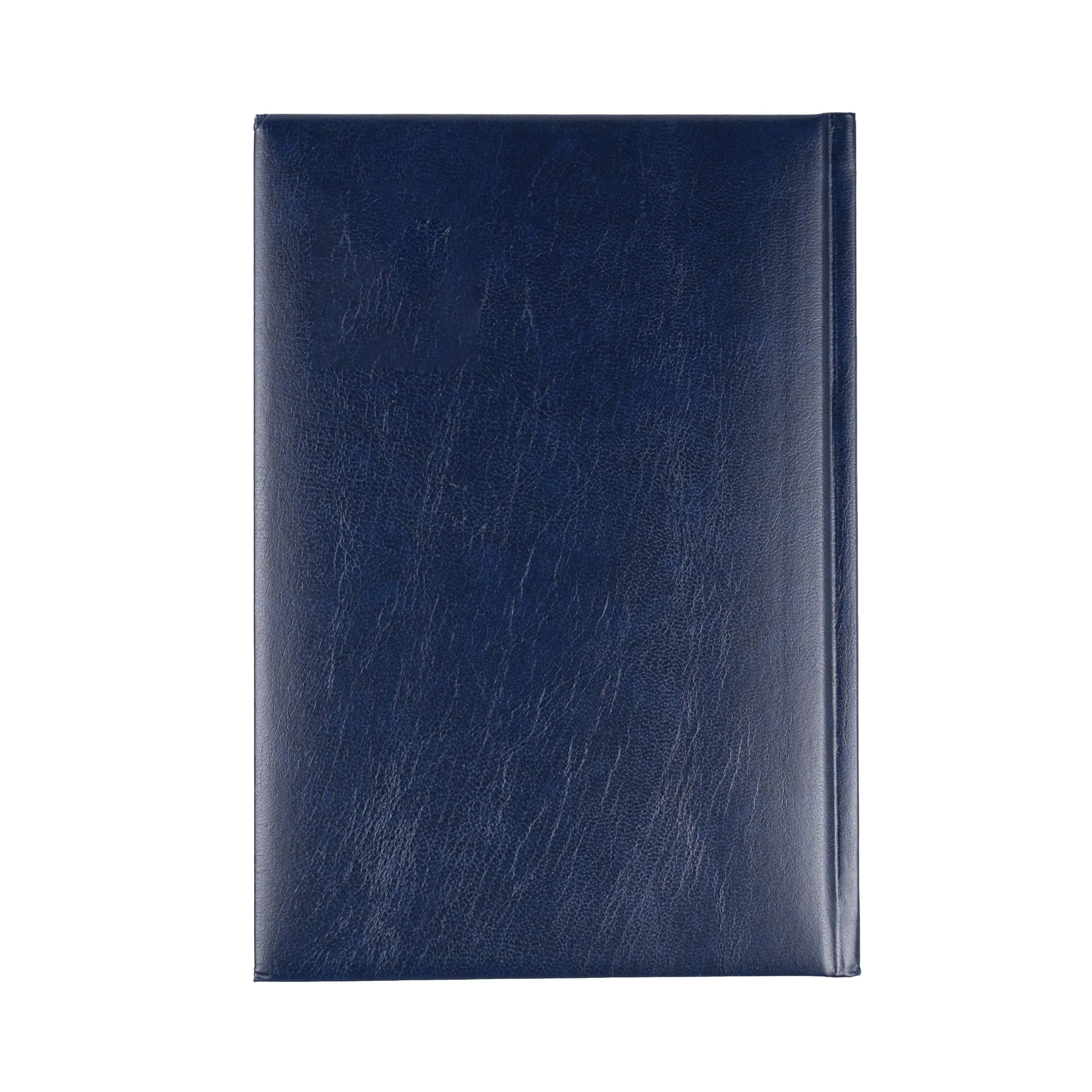 Sterling -A5 - Day-to-Page - 2025 Calendar Year Diary/Planner