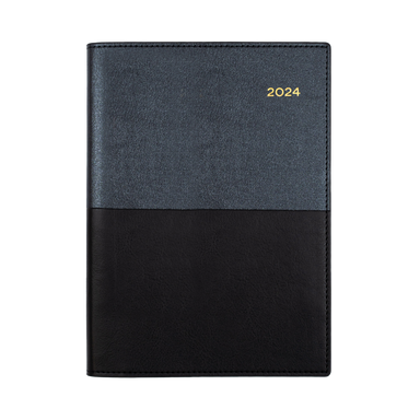 Collins Vanessa 2024 Diary - 2 Days to a Page View