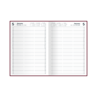 Collins - Appointment Calendar Year 2026 Diary/Planner, 2 Pages to a Day, A4 Hard Cover