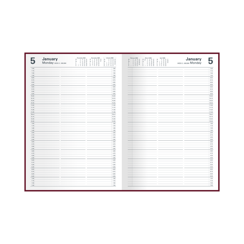 Collins - Appointment Calendar Year 2026 Diary/Planner, 2 Pages to a Day, A4 Hard Cover