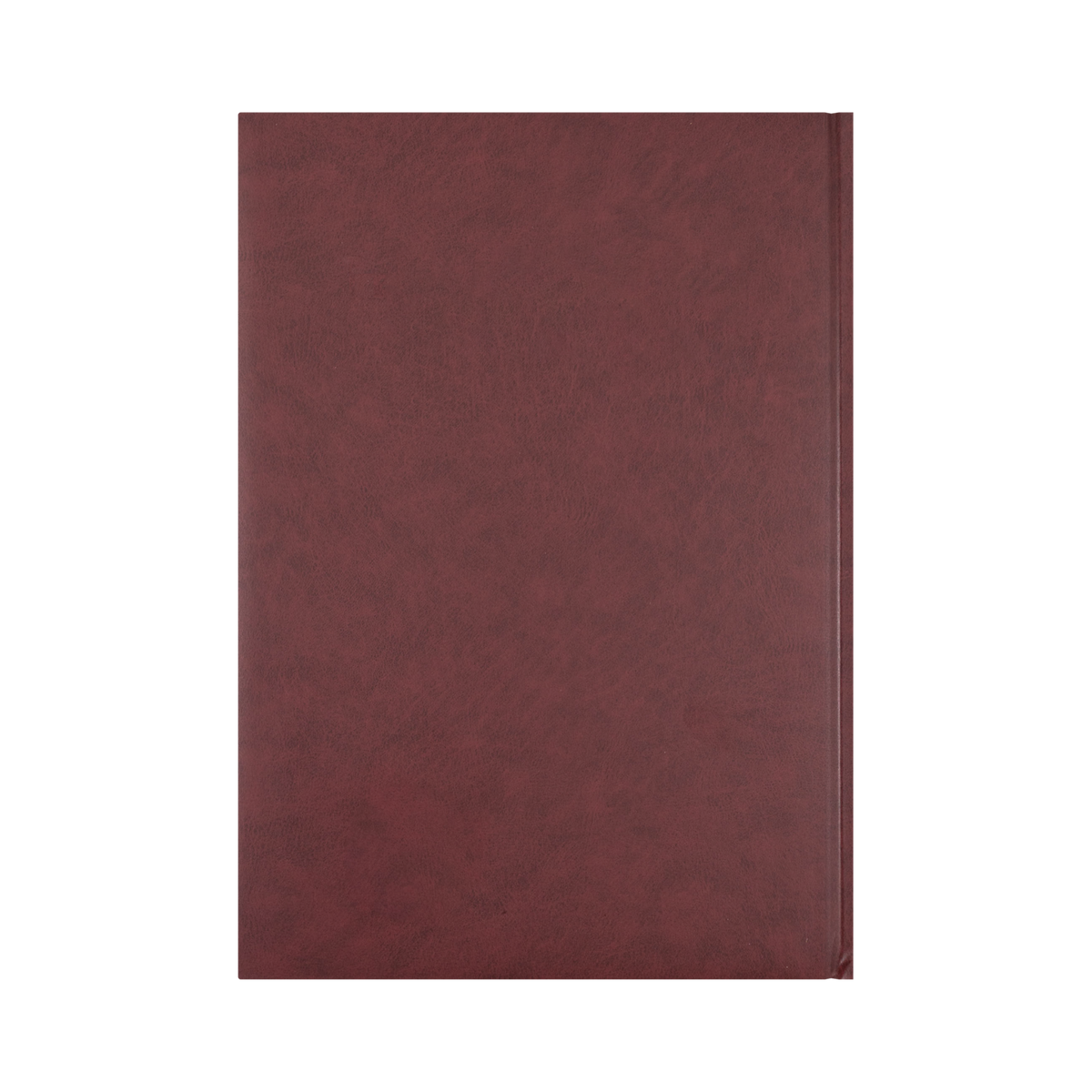 Collins - Appointment Calendar Year 2026 Diary/Planner, 2 Pages to a Day, A4 Hard Cover