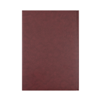 Collins - Appointment Calendar Year 2026 Diary/Planner, 2 Pages to a Day, A4 Hard Cover