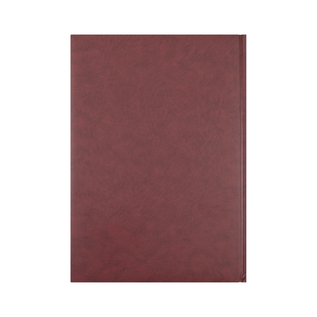 Collins - Appointment Calendar Year 2026 Diary/Planner, Day to Page, A4 Hard Cover