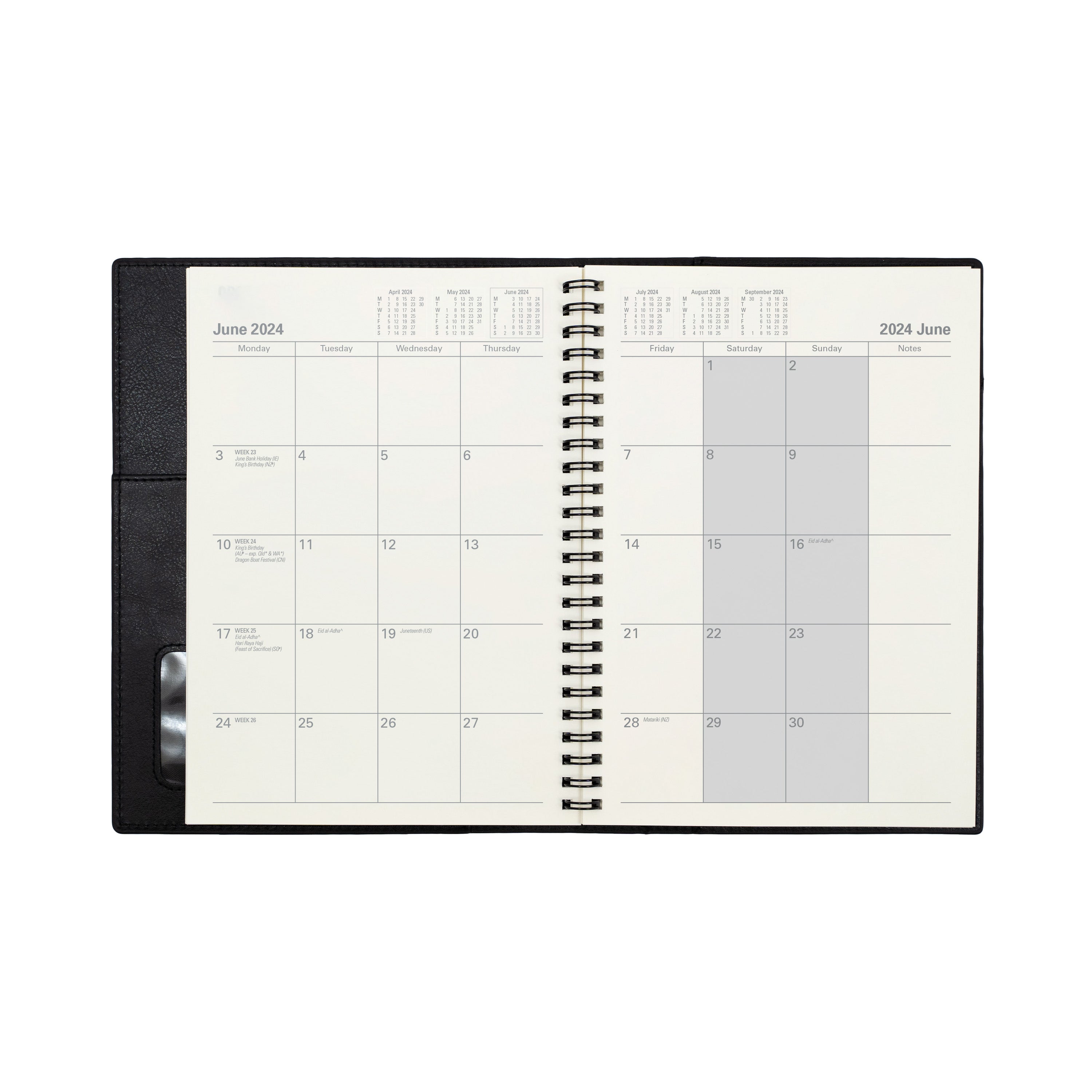 Collins Vanessa 2024 Diary - Month to View