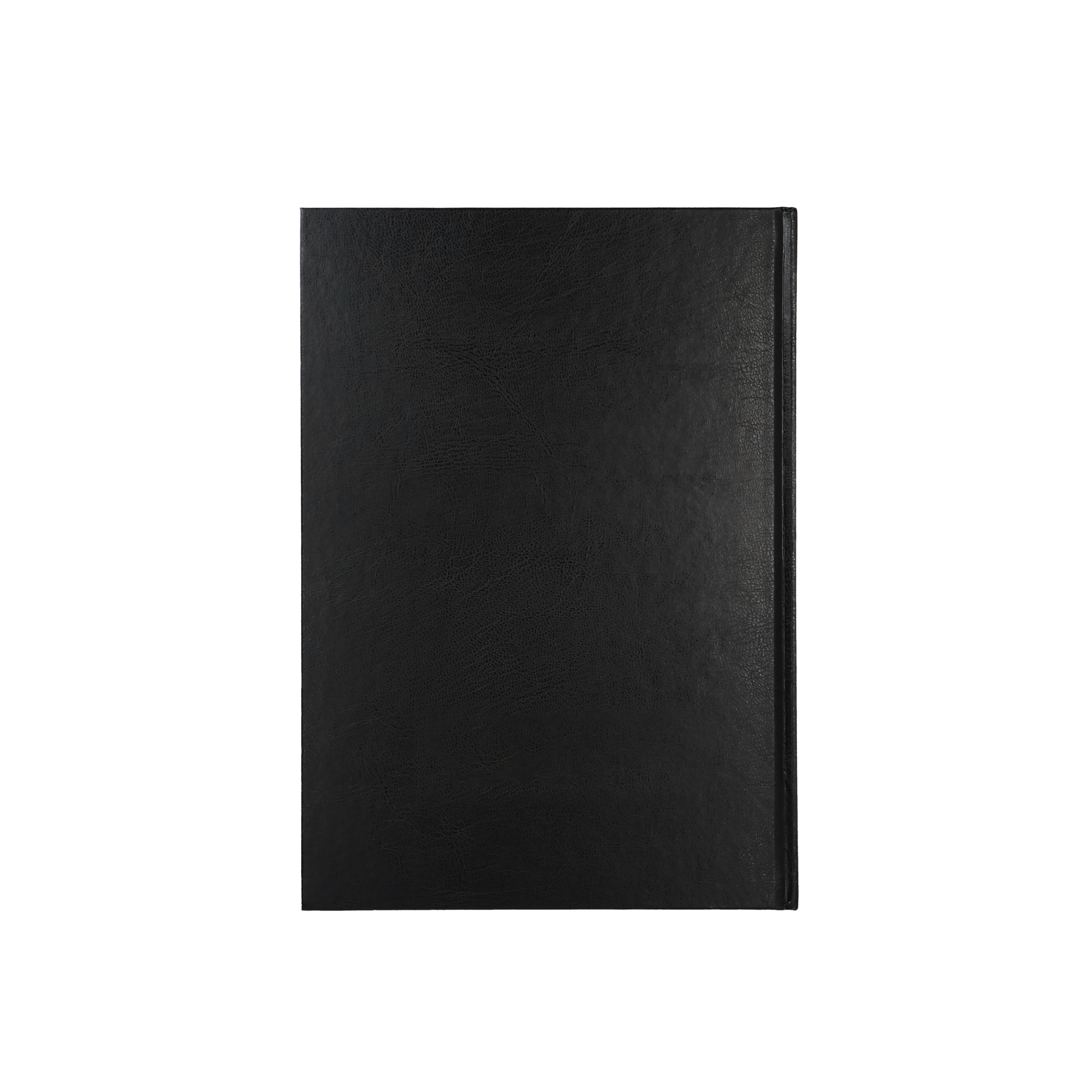Collins - Financial Year 2025-2026 Diary/Planner, Day to Page, A5 Hard Cover