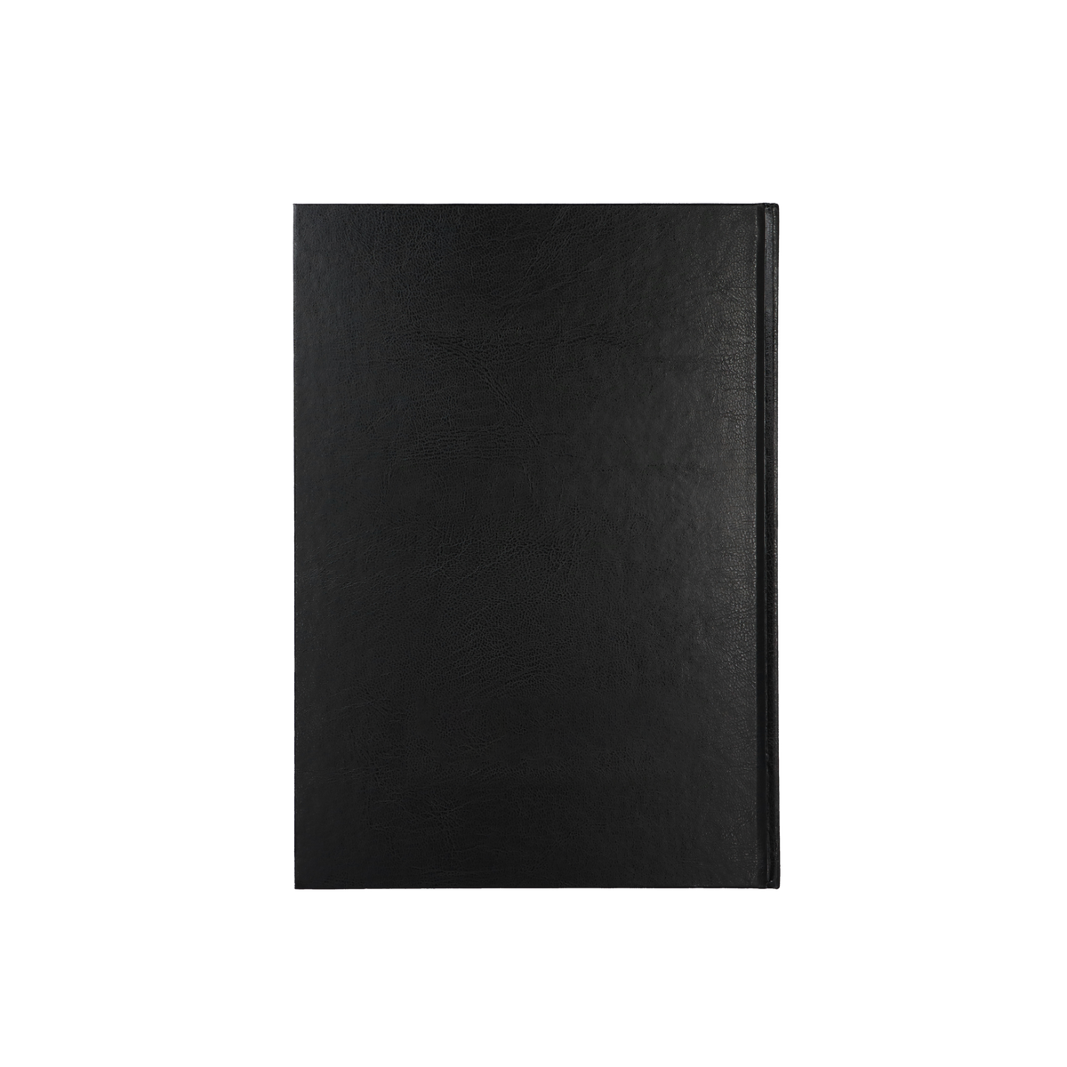Collins - Financial Year 2025-2026 Diary/Planner, Day to Page, A4 Hard Cover