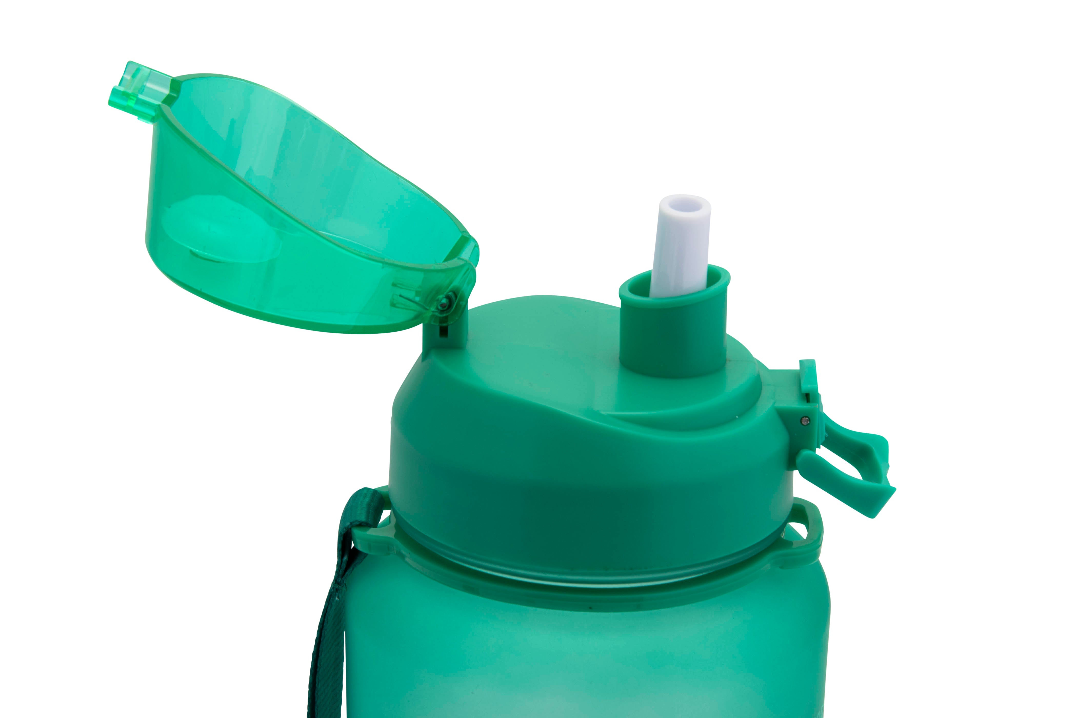 Sips & Gulps Water Bottle - Teal