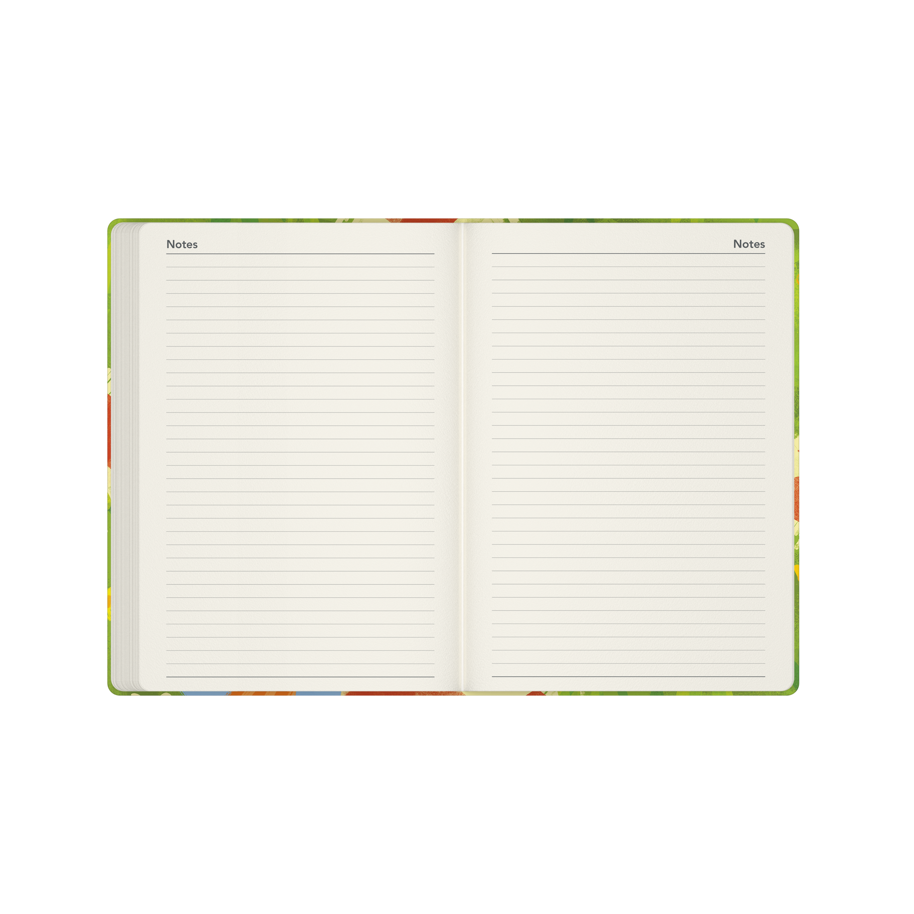 Glasgow School of Art (Bella Ramsay) - Cat Calendar Year 2026 Diary/Planner, Week to View, A5 Recycled Hard Cover - Picnic