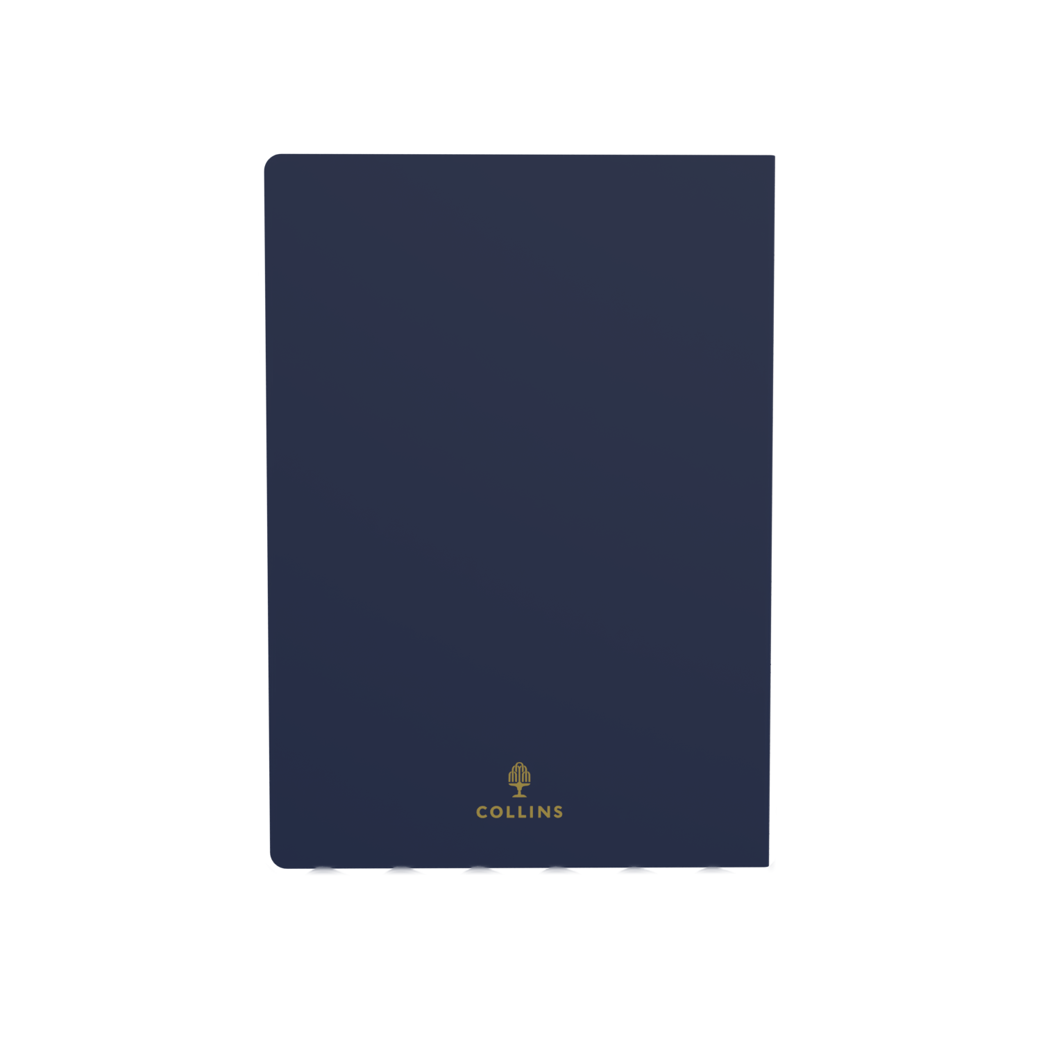 Collins Expressive Type 2025 Diary Planner - Week to View, Size A5 - Recycled - Navy
