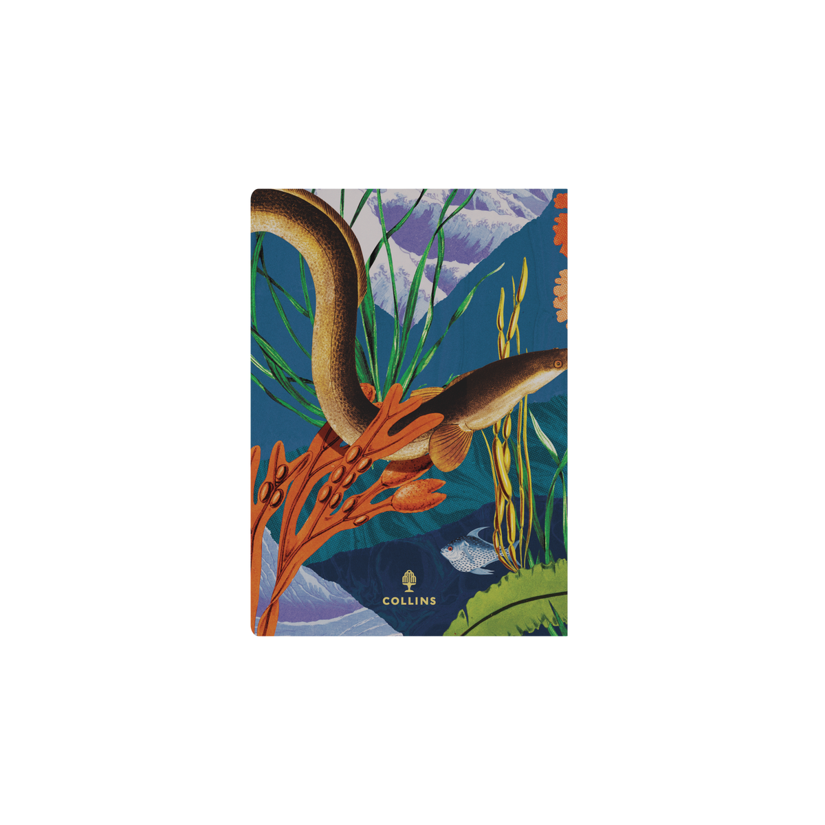 2026-2027 Financial Year Diary/Planner - 12 Month A5 Week to View Diary - Soft Cover (Recycled) - Collins Modern Organic Range