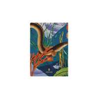 2026-2027 Financial Year Diary/Planner - 12 Month A5 Week to View Diary - Soft Cover (Recycled) - Collins Modern Organic Range