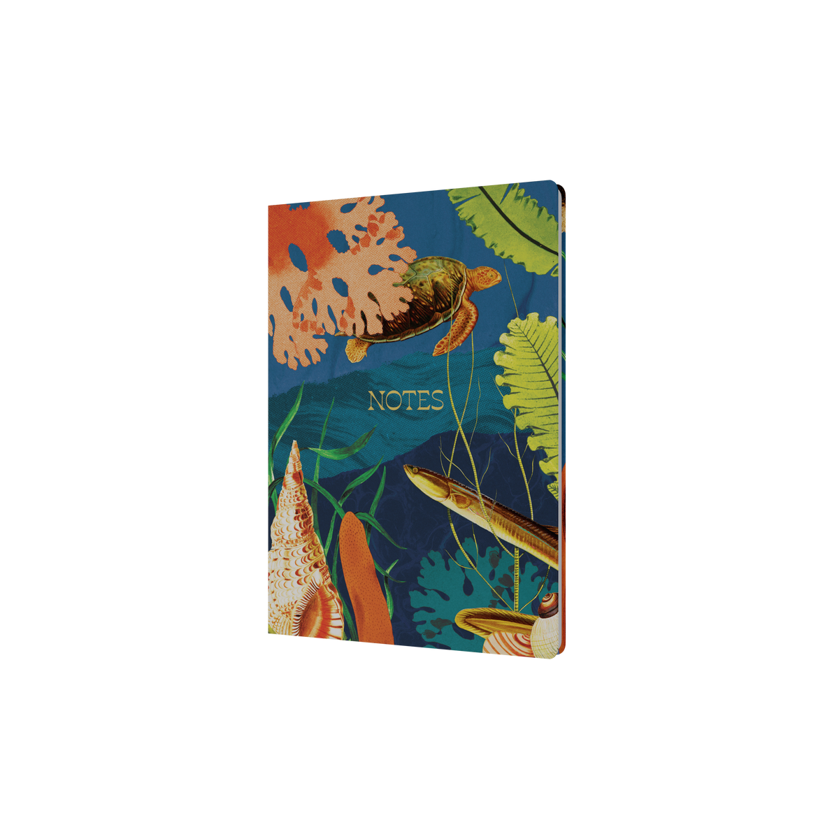 Notebook A5 - Ruled - Hard Cover (Recycled) in Turtle - Collins Modern Organic Range